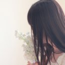 밈(MIM) 이미지