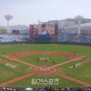 빠찌 이미지
