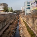 절골천 이미지