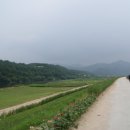 금산수삼시장닷컴 - 82214 | 금산수삼시장닷컴