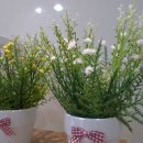 상현한의원 이미지