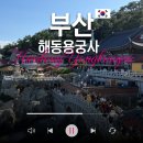 일출암 - 1246 | 부산 기장 여행코스 바다 위 사찰 부모님과 함께 부산여행 해운대에서 해동용궁사 가는 길 버스 관람...
