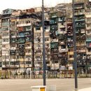 구룡유치원 이미지