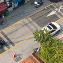 콩이카센타 이미지