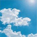 푸른하늘 이미지