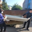 고령차유리 이미지