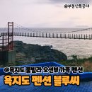 블루씨 | 경남 통영 욕지도 오션뷰 풀빌라 펜션 블루씨 1박 2일 후기