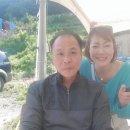 태백골산야초식당 이미지