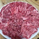 (주)네스트 | 8월 둘째주 매력여왕 나디아 블챌일기(여름휴가 중)