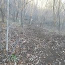 백전농장 이미지