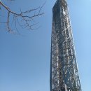 주식회사 남이섬 이미지