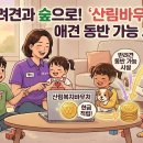 N산림복지바우처 | 2026 산림복지바우처 당첨 후기! 사용처 총정리 & 반려견 동반 가능 시설 찾기