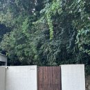 무라소원 | [제주도] 제주도 ‘무라소원’ 서귀포 독채감성숙소 추천 | ‘무라’ 숙소 내돈내산 솔직후기