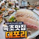 속초바다회 | 속초맛집 대포항 바다뷰 속초횟집 대포리 모둠회 후기