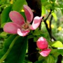 실버넷중부 이미지