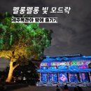 유산 | 2025 국가유산 미디어아트 제주, 제주목관아 - 펠롱펠롱 빛 모드락(제주공항근처 밤에 가볼만한 곳)