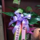 신화지역아동센터 이미지