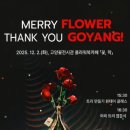 메리플라워 이미지