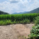 마하공인중개사사무소 이미지