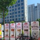 씨유 영종구읍뱃터점 | 영종도 구읍뱃터 밀크티맛집, "십이지차" 솔직후기