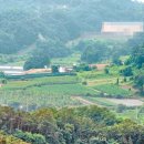 관성2리 이미지