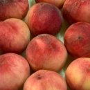 만원의 행복 이미지