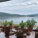 유명동물병원(출장전문) 이미지