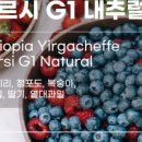 브루프레소 이미지
