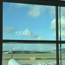 또와가평집 | 끔찍하게 더웠던 여름의 기록