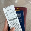 호주 7박 9일 혼자 여행기록 / 대한항공 인천-시드니 KE401, KE402 이코노미 탑승후기 (기내식, 추천 좌석)