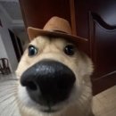 대동씨코아경로당 | 뭔 하루가 먹다가 끝나네