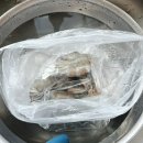 푸른농수산 이미지