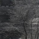 양명고등학교 이미지