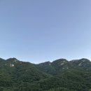 스테이포레스트 이미지