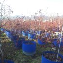 푸른산농장 이미지