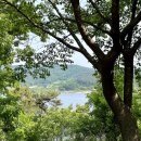 도연도자기 이미지