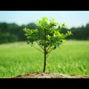 한화목장 이미지