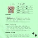 1505 | [#1505] 포포(양측 슬개골 탈구 G3, G2)의 수술후기