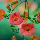 부천시청역 2번출구 이미지