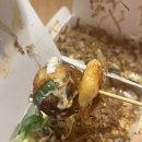 경성 타코야끼 이미지