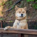 김철농장 이미지