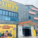 플러피FLUPPY