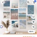 파란여행사주