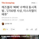 헤즈볼라 '삐삐' 수백대 동시폭발..."2700명 사상, 이스라엘이 배후" 이미지