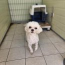 GS25두호타운점 이미지