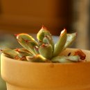 (주)블루빈 이미지