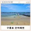 포항 평상대여 취사가능한 바다 아이랑 스노쿨링 하기좋은 구룡포 간이해변 아라펜션 우측!
