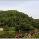 포항시북구44 이미지