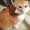 룰루랄라 PC방 이미지