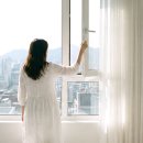 카페트세탁 스팀지니 | 습식 청소기 스팀 패브릭 소파 매트리스 청소 유리창 러그 세탁법 커튼 세탁 얼룩제거